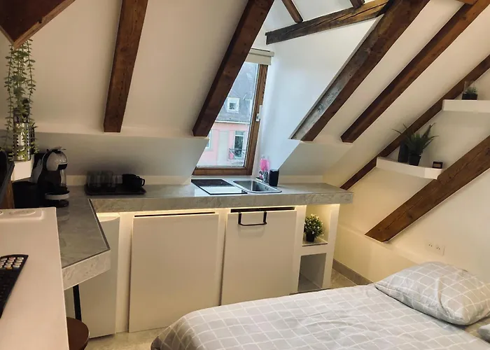 Petit Nid Sympa A Strasbourg
