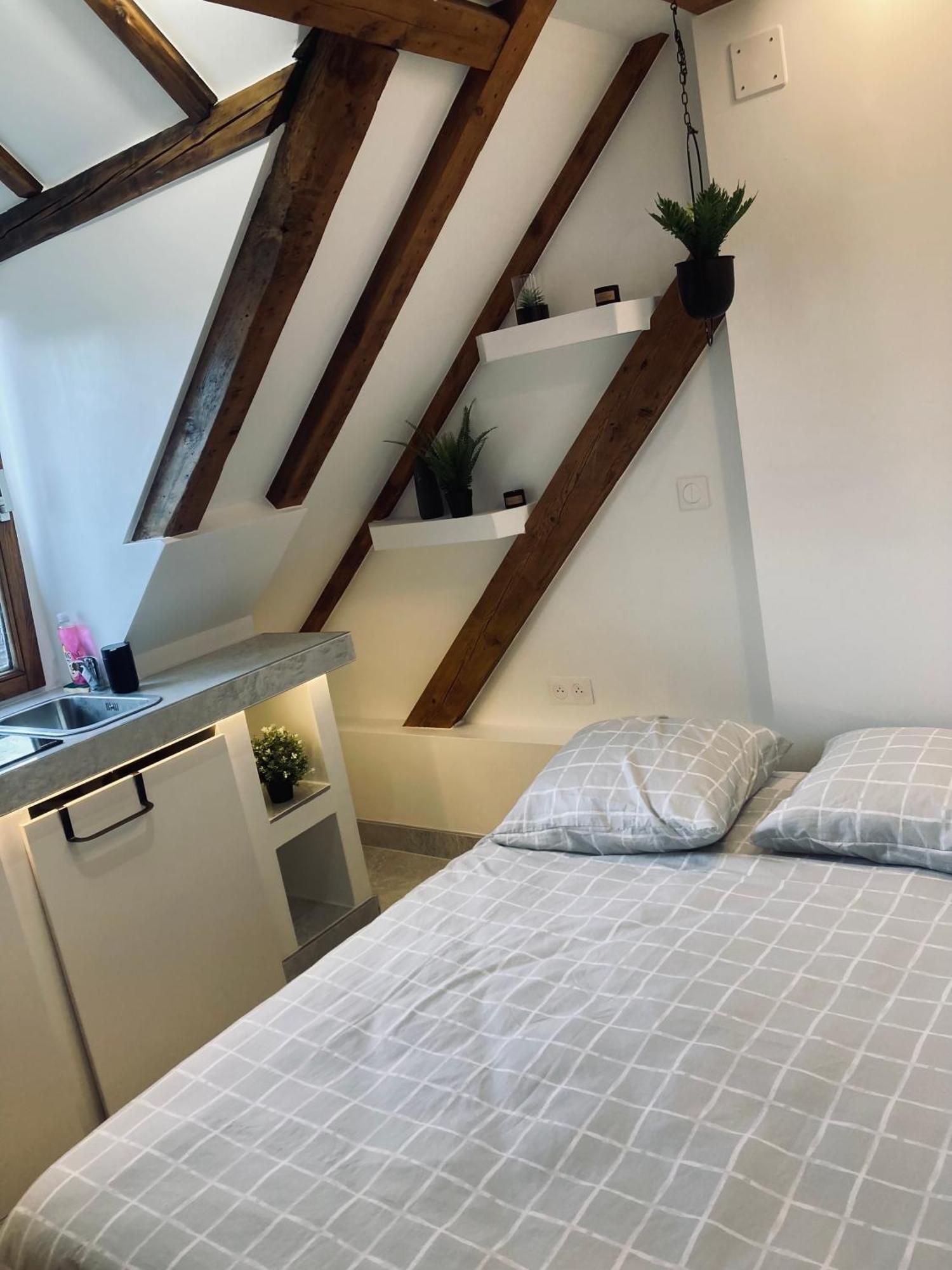 Apartamento Petit Nid Sympa A Estrasburgo