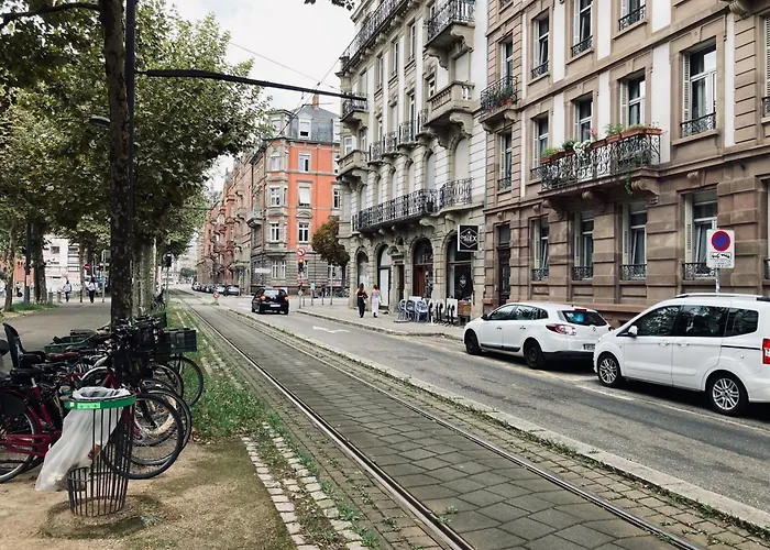Petit Nid Sympa A Strasbourg